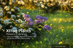 2020 XfrogPlants Flowers 3 Library  3D model