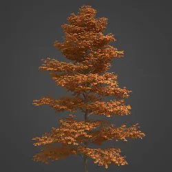 2021 PBR Black Alder Collection - Alnus Glutinosa  3D model