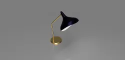Aesthetic Lamp