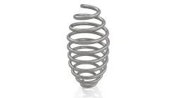 Barrel Spring