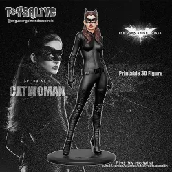 CATWOMAN SELINA KYLE FROM THE DARK KNIGHT RISES MOVIE 3D print model