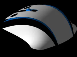 computer mouse