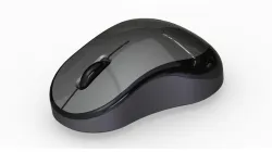 computer mouse