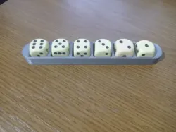 Dice Holder