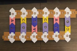 DNA / RNA Manipulative Display Set V2