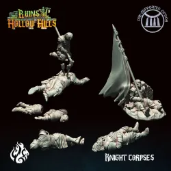 Fallen Knights and warriors