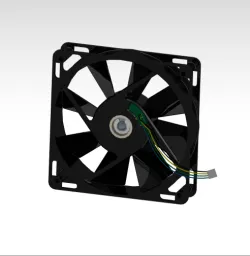 Fan