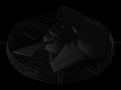 fan