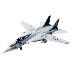 Grumman F-14 Tomcat Low-poly 3D model