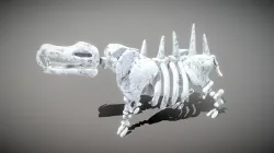 Hippo Skeleton Low-poly 3D model
