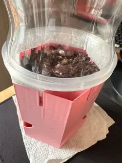 Humidity Cover for Utilitarian Planter