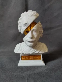 Insights into a Genius: Albert Einstein