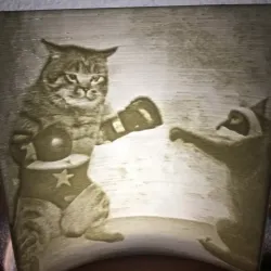 Lithophane of a Cat Fighting a Racoon