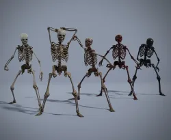 Lowpoly Male Human Skeleton Low-poly 3D model