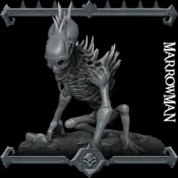 Marrowman