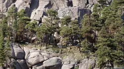 Maxtree Plant Models Vol 126 - Mesh 3D model