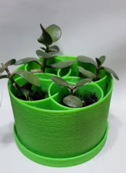 Plant Pot Dish