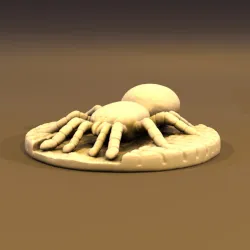 Spider