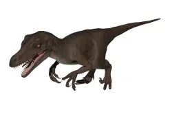 Velocitaptor  Low-poly 3D model