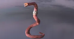 Viper Statue 1 3D model