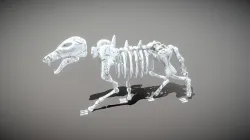 Wolf Skeleton Low-poly 3D model