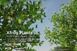 2020 XfrogPlants Fruit Trees Library  3D model