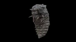 Alien Parasite Cocoon Low-poly 3D model