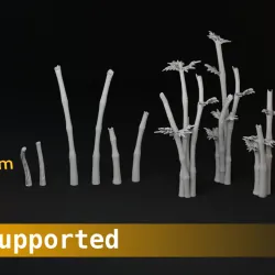Bamboo Set A