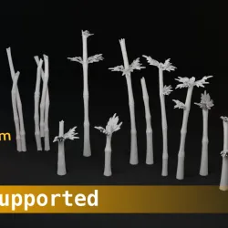 Bamboo Set D