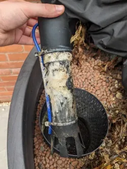 Bell syphon for aquaponics