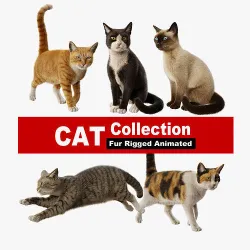 Cat Rigged Animated Collection 3D model