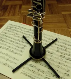 Clarinet stand