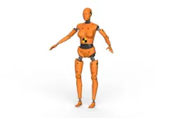 Crash Test Dummy  Robot Android  3D model Female 3D model