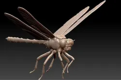 dragonfly in flight 3D print model