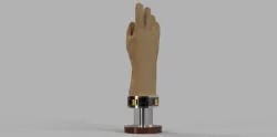 Dry Glove Ring ( Diving )