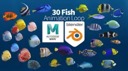 Fish Pack 30 - Animated Low-poly 3D model