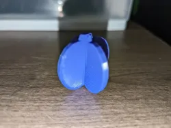 flat pumpkin