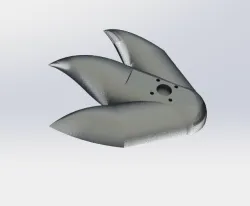 foot model