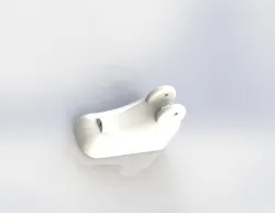 Foot Model