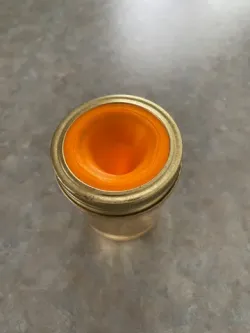 Fruit Fly Trap