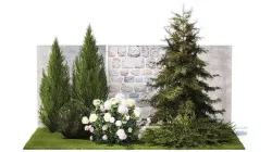 Garden with thuja cypress pine and Hydrangea white bushes 1379 3D model