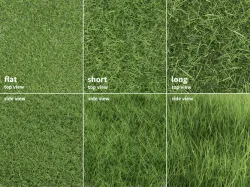 Grass Patches Green Meadow 3D model
