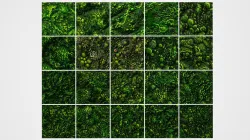 Green Wall Seamless PBR Textures Texture