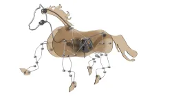 Mechanical horse made of wire and plexiglass.