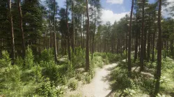 Nature Package - Coniferous Environment Unity Low-poly 3D model