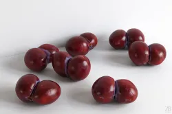 Plum 018 3D model