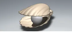 Shell