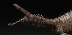Suchominus Asset Pack Low-poly 3D model
