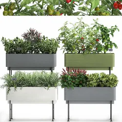 Vegetable garden in the kitchen 1059 3D model