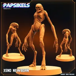 XENO NEWBORN